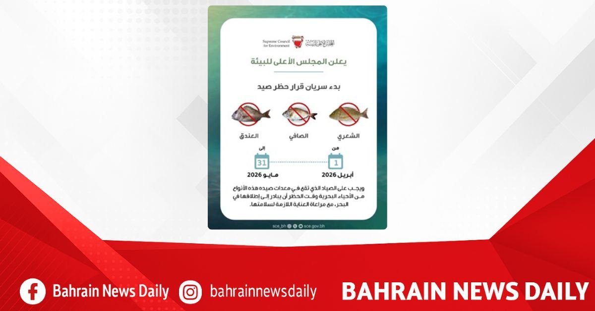 Supreme Council for Environment announces lifting seasonal fishing ban on Safi, Shaari, Andag