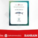 SCE announces lifting of kingfish fishing ban from October 16